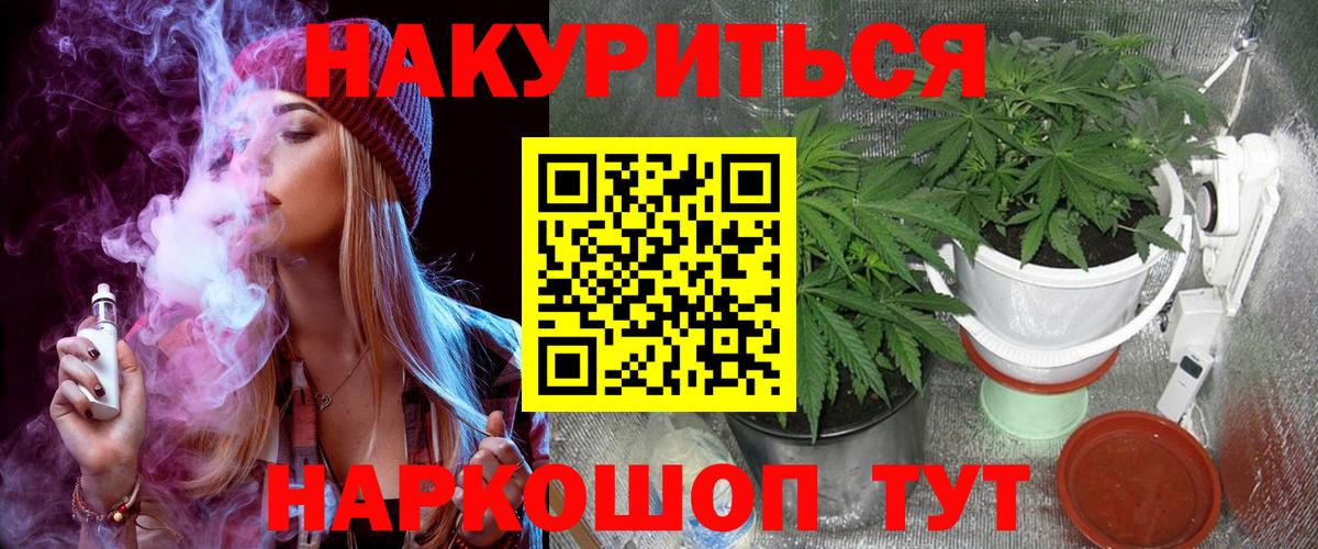 Шишки марихуана сатива  Бошки Шишки планчик  Балтийск  Вход с VPN 